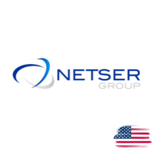 Logo of Netser - Website Client